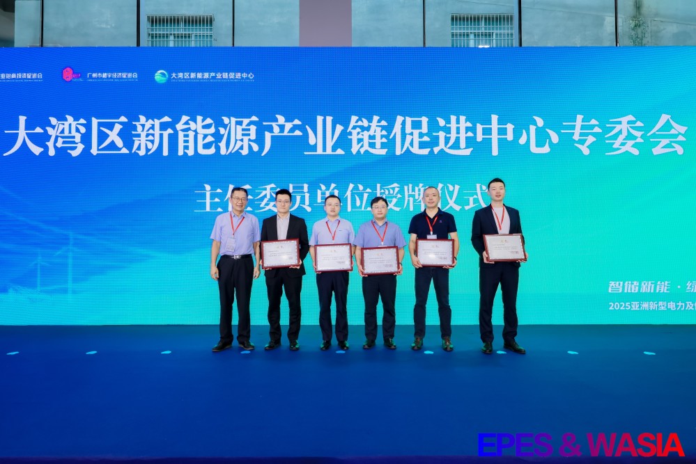 亚洲新型电力及储能高峰论坛